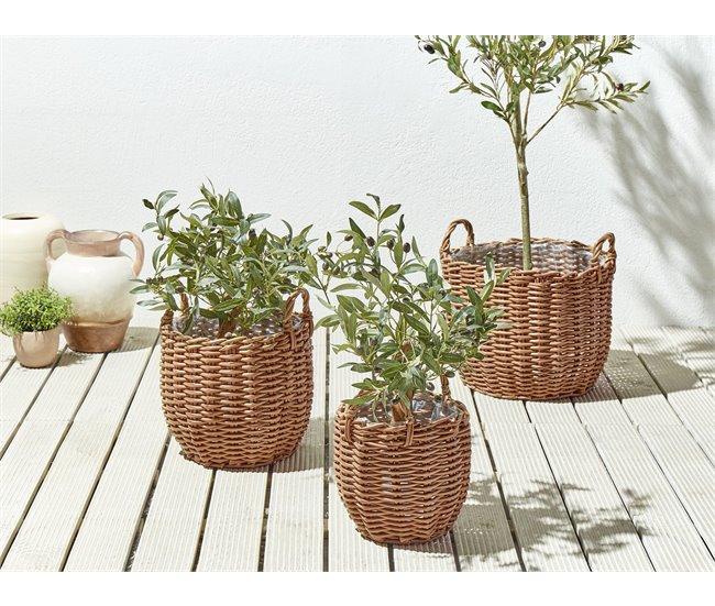 Conforama Conjunto De 3 Cestas Para Plantas De Ratán Marrón AUCUBA