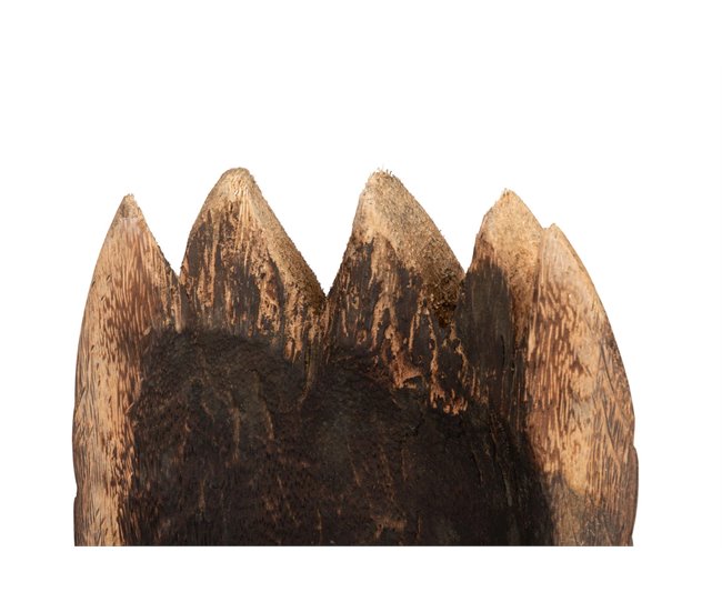 Conforama Figura Decorativa Palmera Coari 50x40x180 Cm
