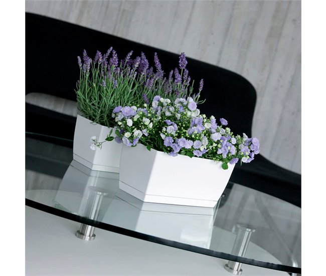 Conforama Jardinera De Plastico Coubi Case P En Color Café Con Leche 39 (largo) X 19 (ancho) X 18 2 (altura) Cm