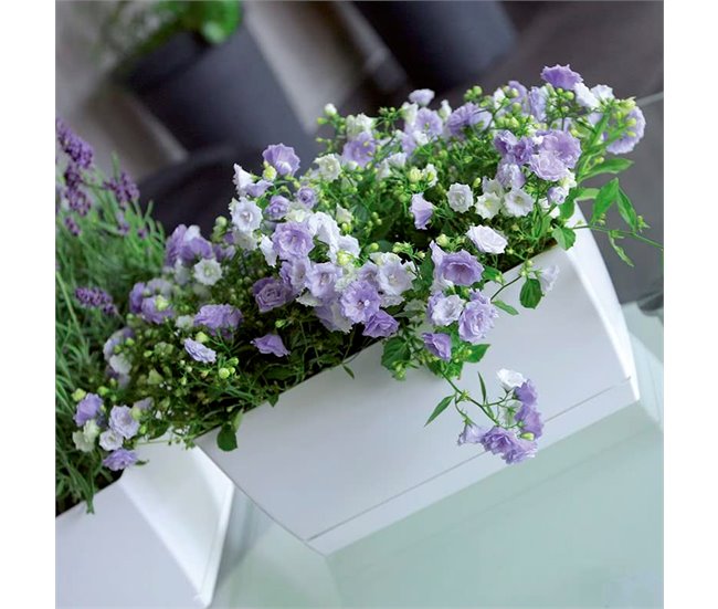 Conforama Jardinera De Plastico Coubi Case P En Color Café Con Leche 39 (largo) X 19 (ancho) X 18 2 (altura) Cm