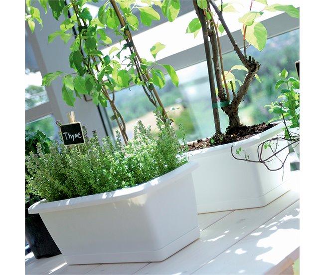 Conforama Jardinera Respana Con Soporte De Plastico En Color Marron 78 6 (largo) X 18 4 (ancho) X 14 5 (alto) Cm