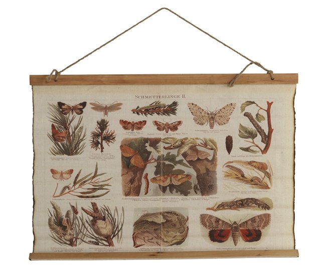 Conforama Mariposas decorativas en tela de lona 65X85 cm