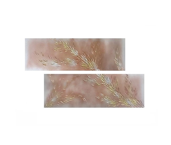 Conforama Pack 2 cuadros artesanales Perla Marrón - Oro 120 x 40 x 1 8 cm