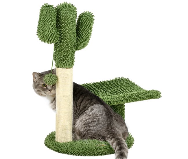 Conforama PawHut Árbol Rascador para Gatos de Cactus de 55 5 cm Torre para Gatos de Interior con Postes de Sisal Cama y Bola de Juguete 35x31x55 5 cm Verde