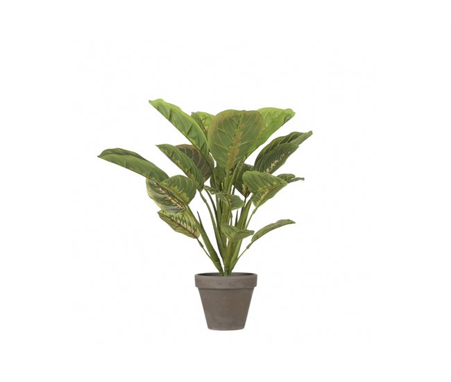 Conforama Planta Artificial CALATHEA Marca MICA DECORATIONS
