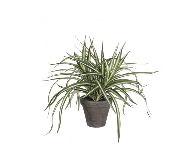 Conforama Planta Artificial DRACAENA Marca MICA DECORATIONS