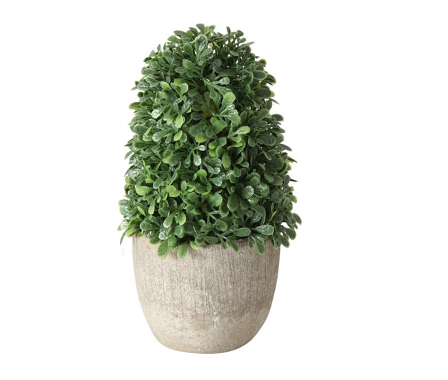 Conforama Planta Floral LANKA 39cm Surtida Marca BOLTZE
