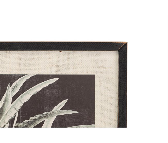 Conforama Set 2 Cuadros Palmeras Con Marco Negro 39x2x39 Cm