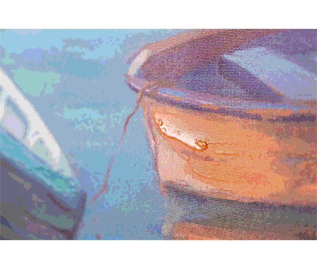 Conforama Set 2 Lienzos Barcos 40% Pintado Mano 70x3x50 Cm