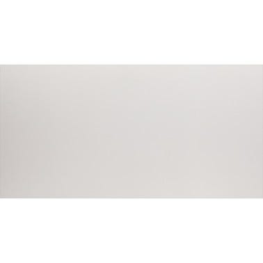 Bricomart AZULEJO PASTA BLANCA 30X60CM BLANCO MATE