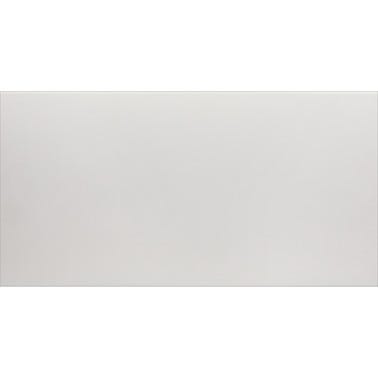 Bricomart AZULEJO PASTA ROJA 30X60CM WHITE MATE