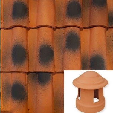 Bricomart CHIMENEA PARA TEJA S10 ROJO FLAMEADO