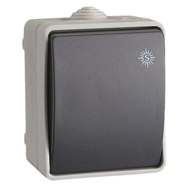 Bricomart CONMUTADOR SUPERFICIE IP54