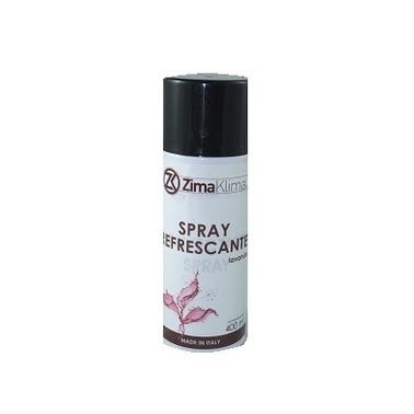 Bricomart DETERGENTE LIMPIADOR PARA FILTROS 400ML