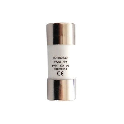 Bricomart FUSIBLE CILINDRICO 22X58 80A