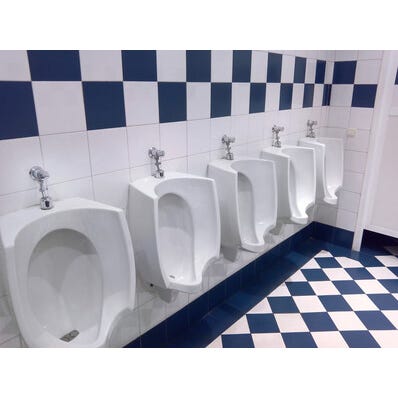 Bricomart GRIFO DE URINARIO TEMPORIZADO PRESTO