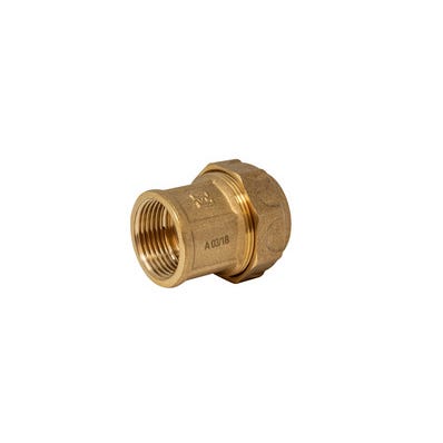 Bricomart RACOR RECTO 20MMX1/2" HEMBRA PE LATÓN