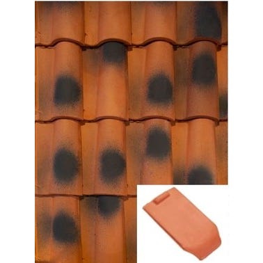 Bricomart CUÑA DE CABALLETE CERÁMICO S10 ROJO FLAMEADO