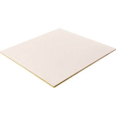 Bricomart PLACA TECHO ACÚSTICO MINERVAL BORDE RECTO A 60X60X1 2 CM