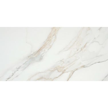 Bricomart SUELO PORCELÁNICO 59X119CM LUNA NATURAL PULIDO
