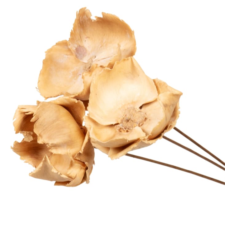 Maisons Du Monde Amaranthe - Lote De 2 - Tallos De Flores Secas Beige