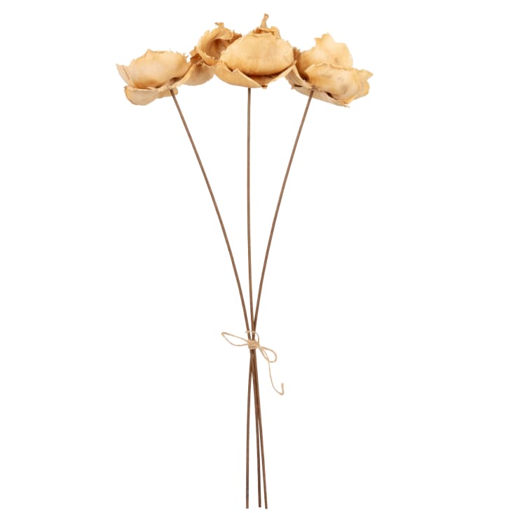 Maisons du Monde Amaranthe - Lote de 2 - Tallos de flores secas beige