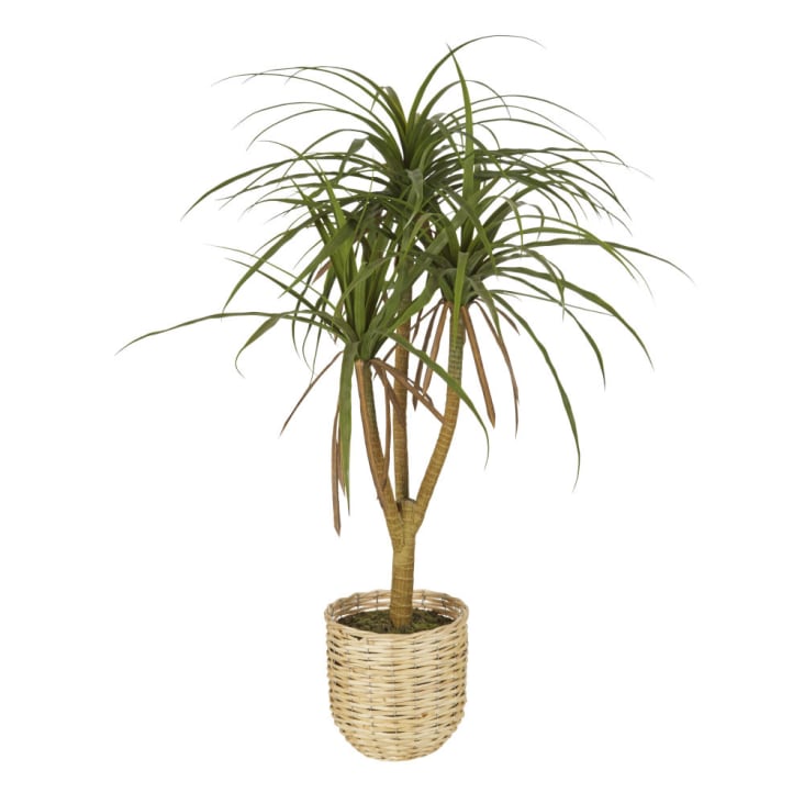 Maisons du Monde BROCK - Palmera verde artificial con macetero de mimbre beige