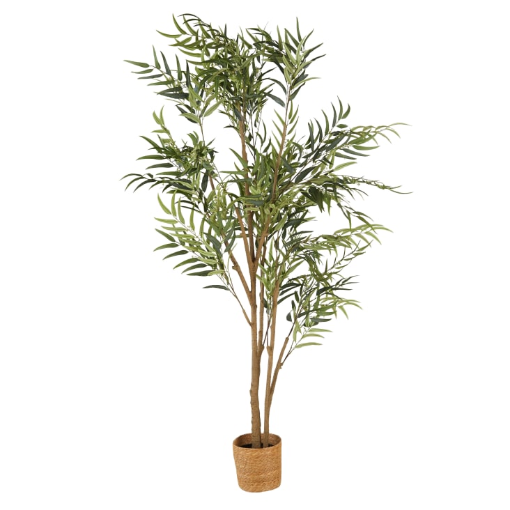Maisons du Monde Canberra - Eucalipto artificial verde de 240 cm