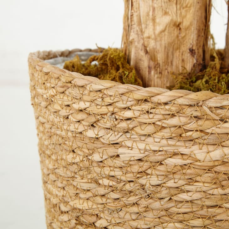 Maisons Du Monde CILAOS - Banano Artificial Con Maceta