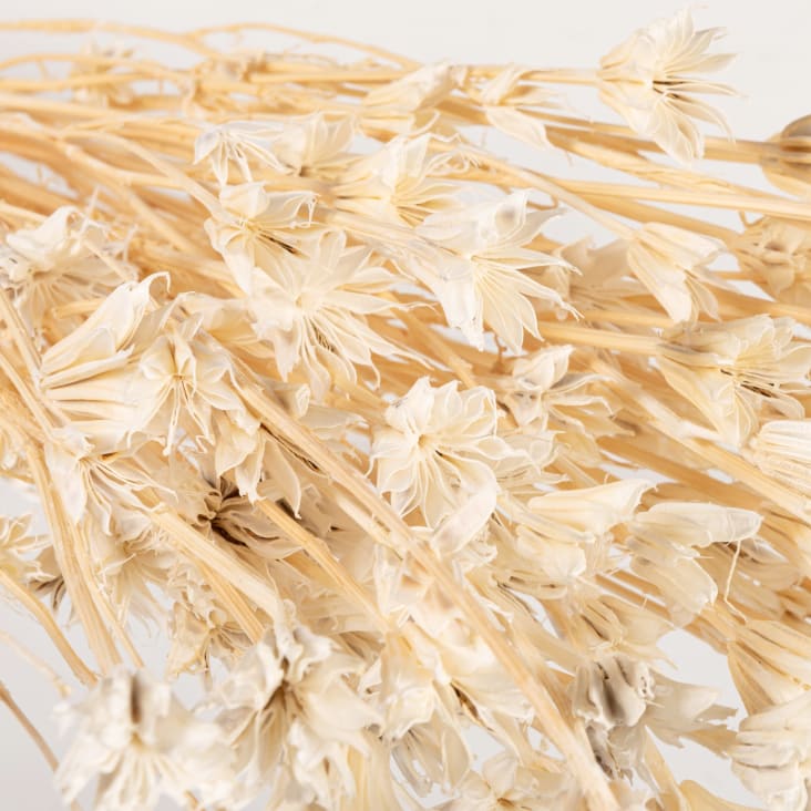 Maisons Du Monde Conicas - Ramo De Flores Secas Blancas