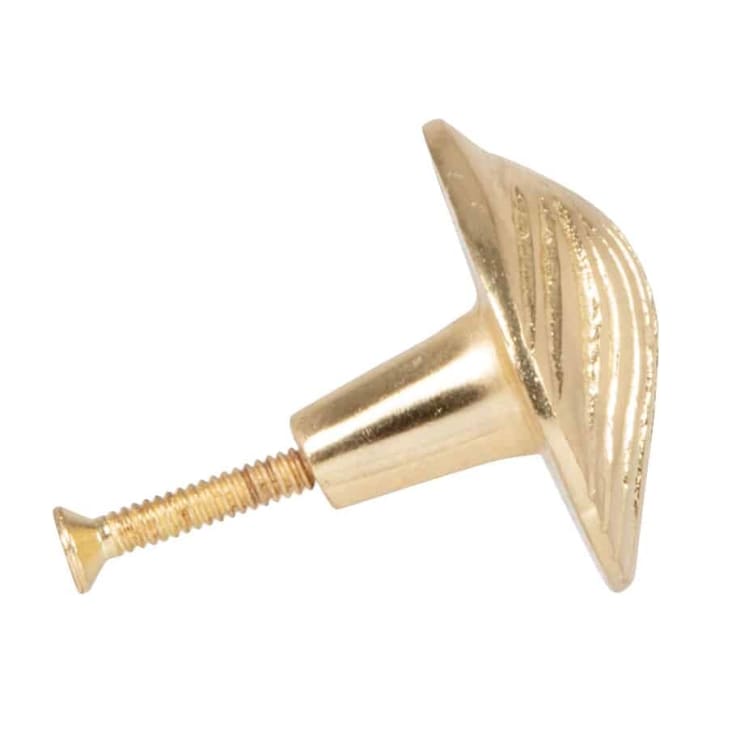 Maisons Du Monde COQUILLAGE - Lote De 2 - Pomo De Concha De Acero Dorado