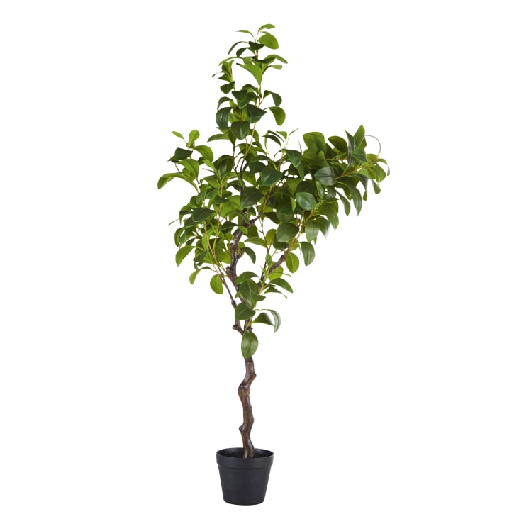 Maisons du Monde PEPA - Planta artificial verde