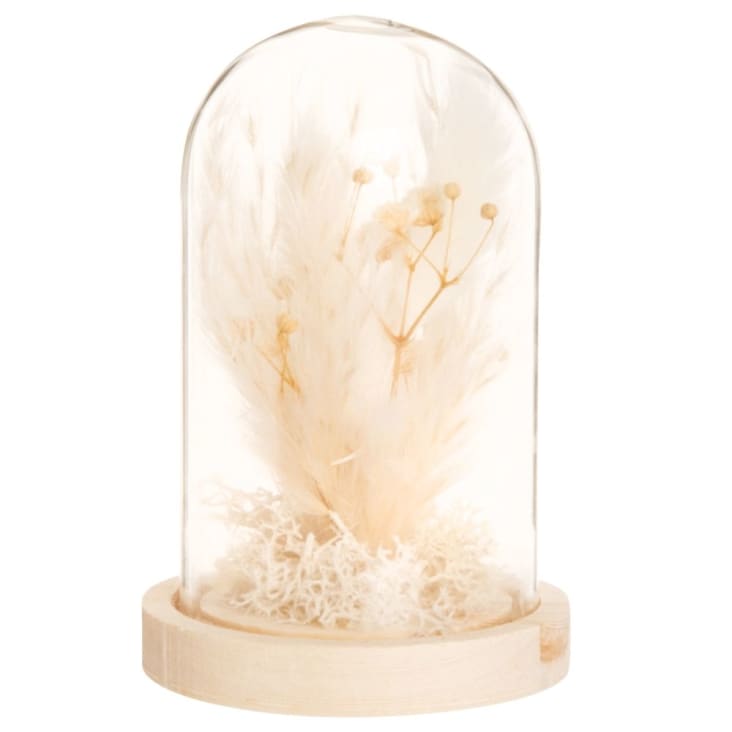 Maisons du Monde PIA - Lote de 2 - Campana de cristal soporte de madera de pino y flores secas color crudo Alt. 7