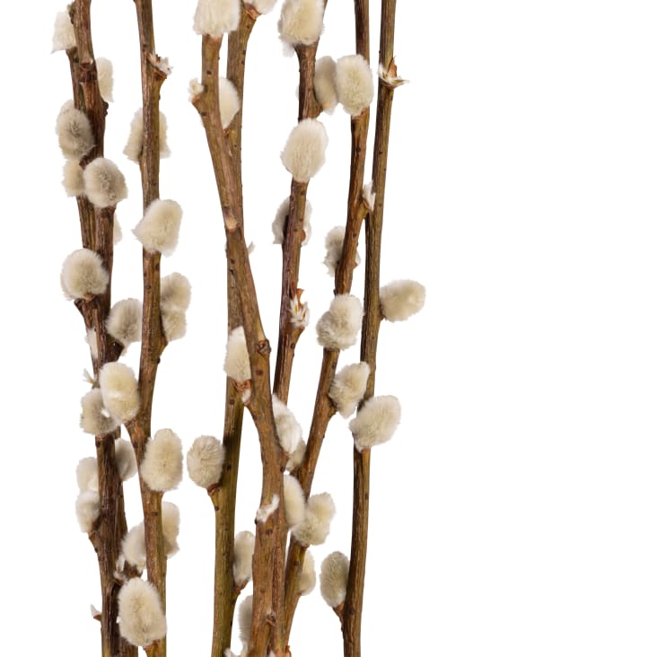 Maisons Du Monde Ramas De Flores Secas En Tonos Verdes