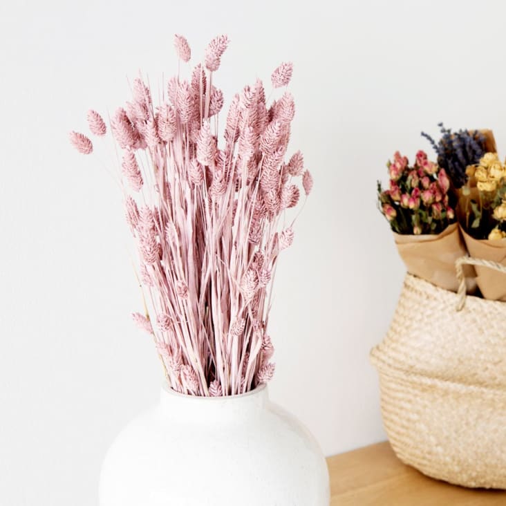Maisons Du Monde Ramillete De Phalaris Seca Color Rosa
