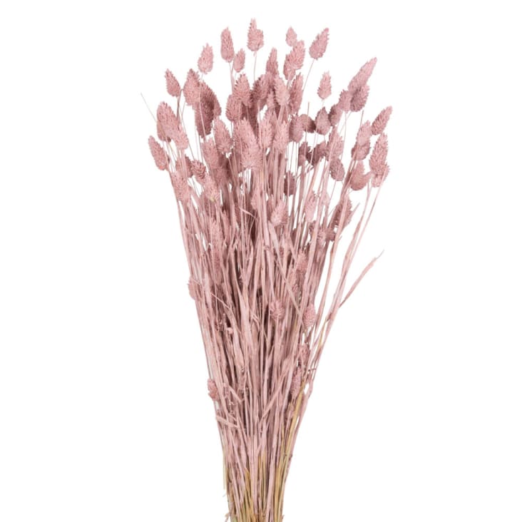 Maisons du Monde Ramillete de phalaris seca color rosa