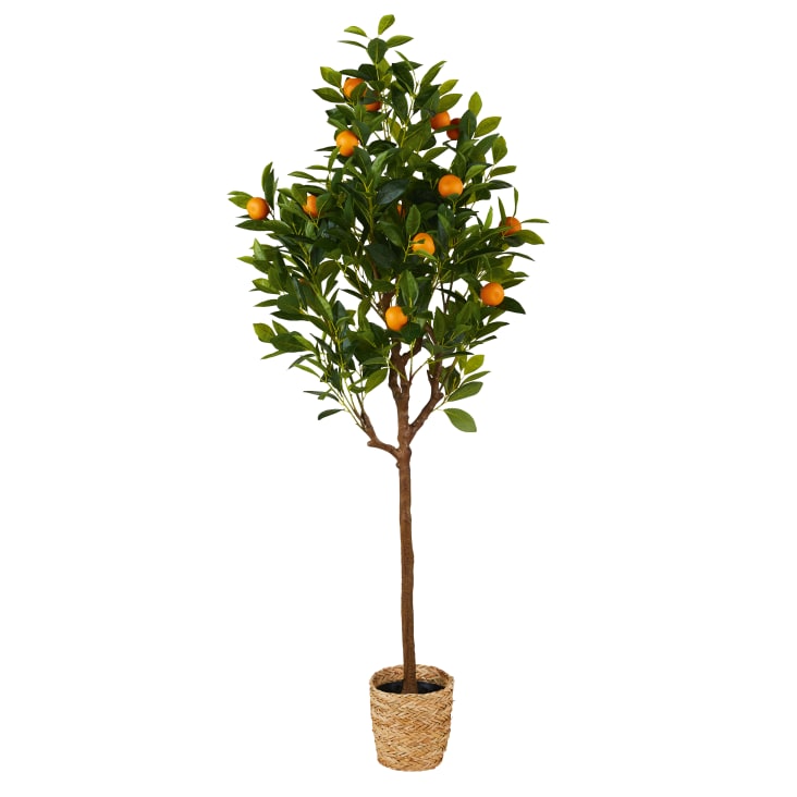 Maisons Du Monde Tanger - Mandarino Artificial Verde De 156 Cm