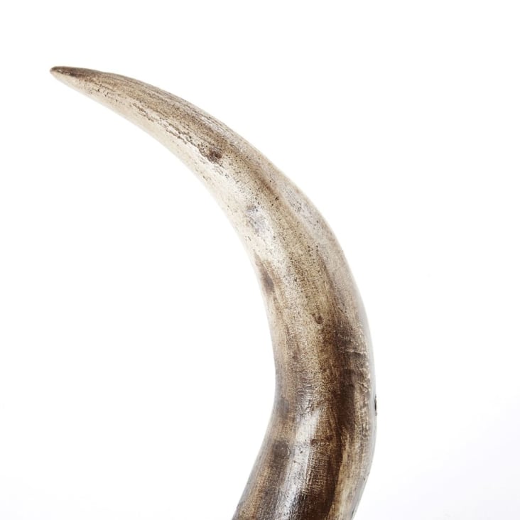 Maisons Du Monde Wild - Trofeo De Pared De Cabeza De Búfalo Esculpido Marrón 73x73