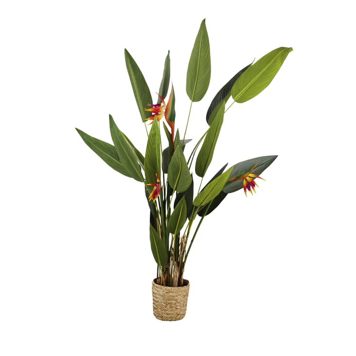 Maisons du Monde Zambia - Strelitzia artificial y maceta tejida