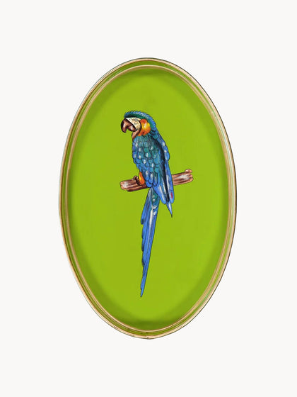 Westwing Bandeja Decorativa Pintada A Mano Con Motivo De Loro Fauna