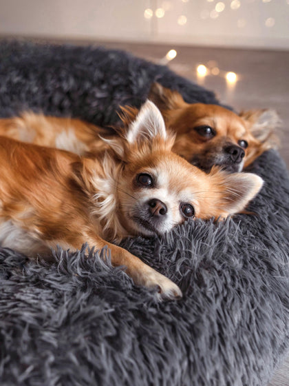 Westwing Cama Para Mascotas De Borreguillo Fluffy Tamaños Diferentes