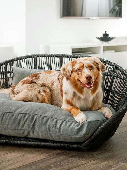 Westwing Cama Para Mascotas De Interior/exterior Prado