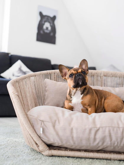 Westwing Cama Para Mascotas De Interior/exterior Vogue