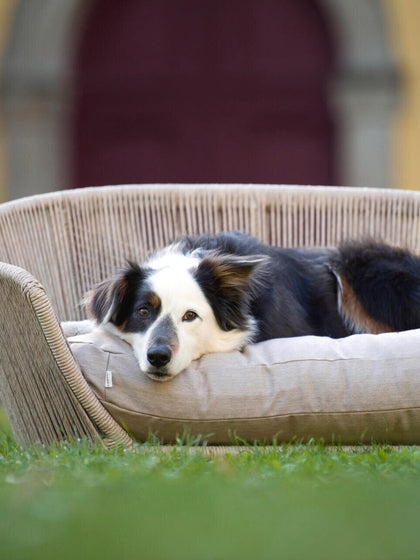 Westwing Cama Para Mascotas De Interior/exterior Vogue