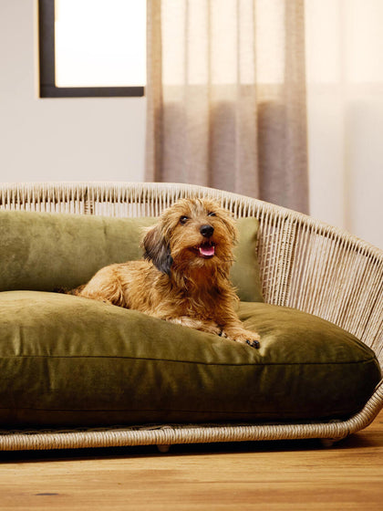 Westwing Cama Para Mascotas De Interior/exterior Vogue