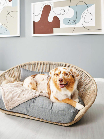 Westwing Cama Para Mascotas De Interior/exterior Vogue
