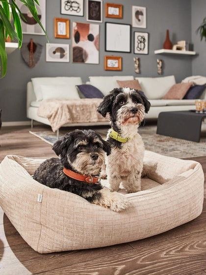 Westwing Cama Para Mascotas De Pana Nova Tamaños Diferentes