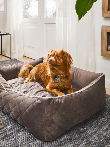 Westwing Cama Para Mascotas De Terciopelo Oxford Tamaños Diferentes
