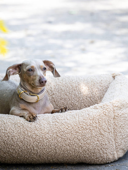 Westwing Cama Para Mascotas En Tejido Bouclé Teddy Tamaños Diferentes