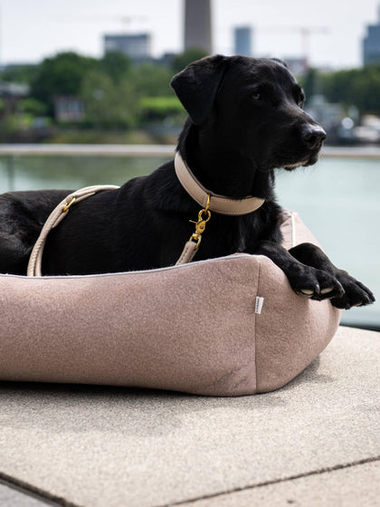 Westwing Cama Para Mascotas En Terciopelo Buffalo Tamaños Diferentes